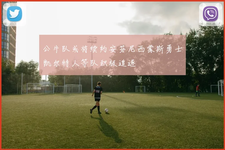 公牛队或将续约安芬尼西蒙斯勇士凯尔特人等队积极追逐